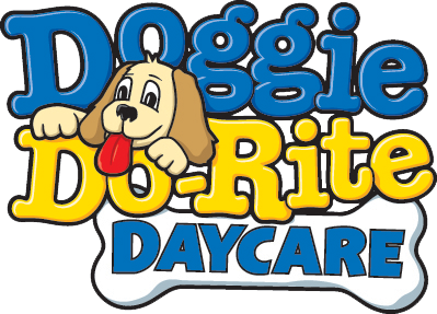 doggie do rite Transparent